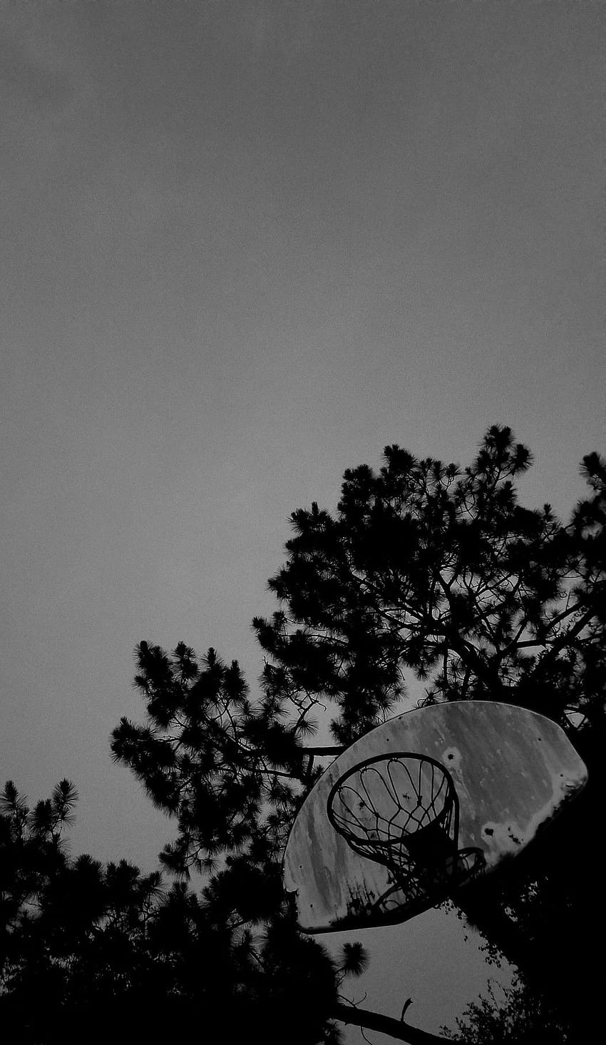 Black and white . Black and white iphone, Black and white , Black and white aesthetic, Basketball Black and White HD phone wallpaper