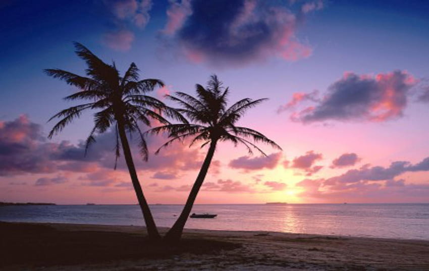Paysage de coucher de soleil sur la plage. Pouls, plage tropicale rose Fond d'écran HD