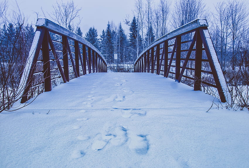 Winter, Nature, Snow, Bridge, Traces HD wallpaper