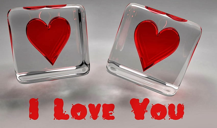 I love you for gallery HD wallpapers | Pxfuel