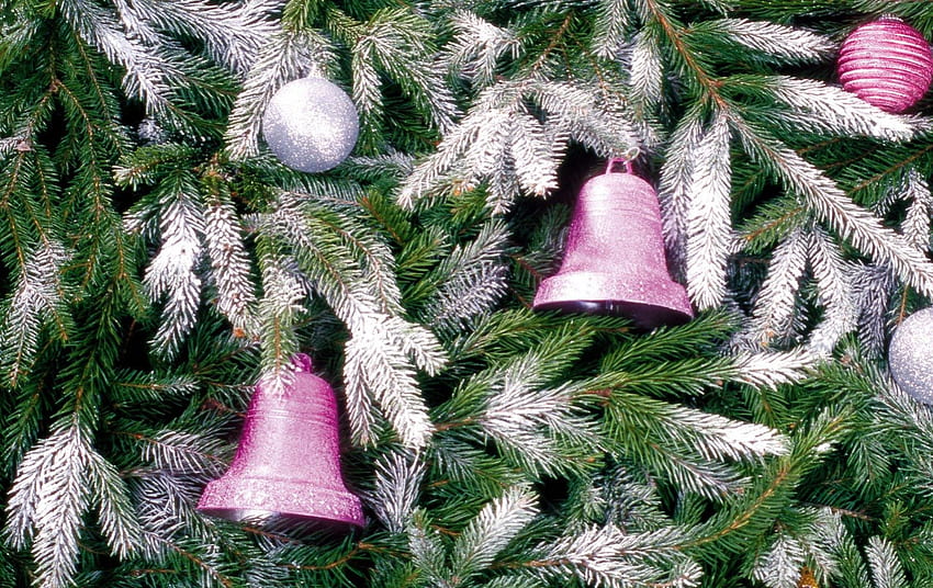 Pink bells, winter, bell, white, glitter, ornaments, tree, pink, decoration, snow, green, ball, christmas HD wallpaper
