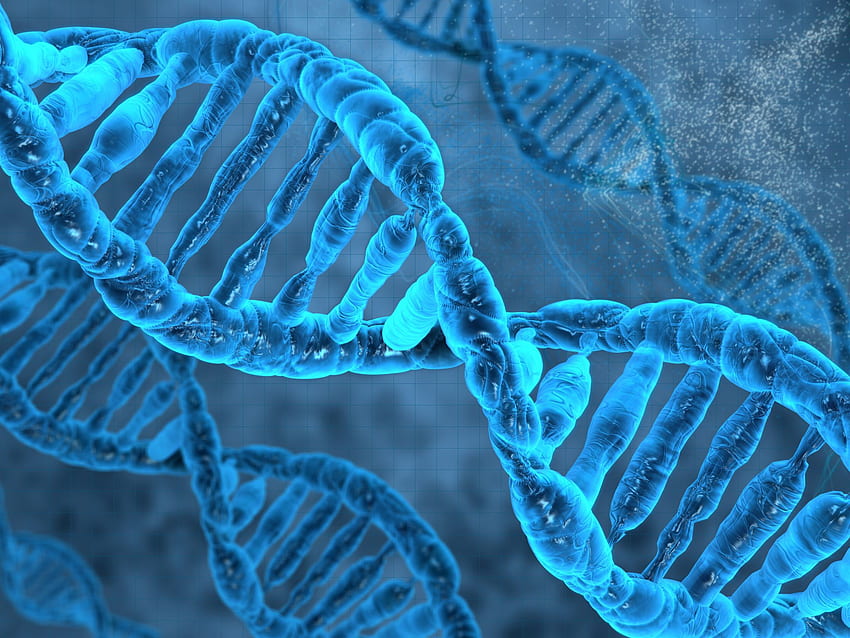 พันธุศาสตร์ โมเลกุล ชีววิทยาทางทะเล ใต้น้ำ สีน้ำเงิน - ยีนของมนุษย์ ชีววิทยาทางทะเลของโปเกมอน วอลล์เปเปอร์ HD