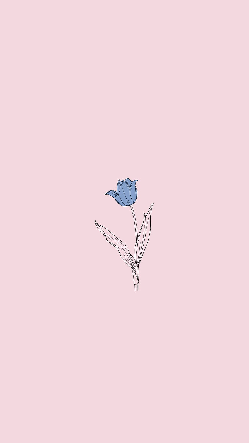 Blue rose. Dreams, Nature & Art in 2019. Cellphone, Minimalist Rose HD ...