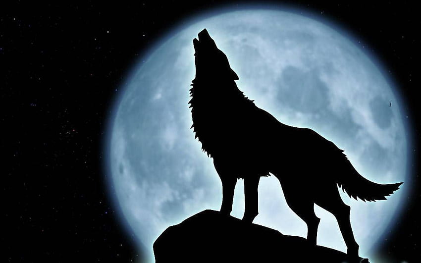 Wolf Howling at the Red Moon, Wolf Drawing HD wallpaper