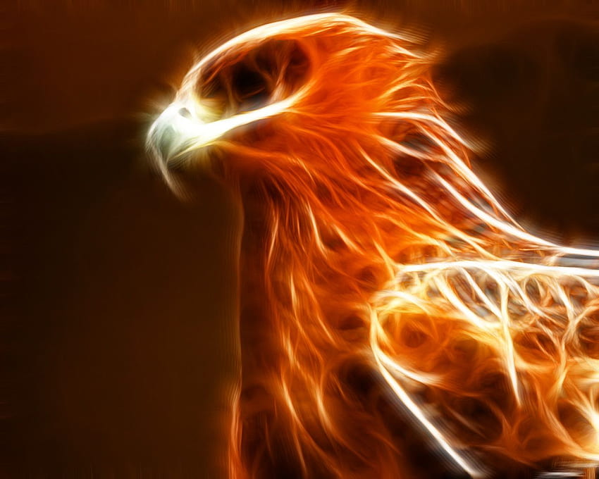 Reborn From Ashes : Like A Phoenix – These things called Words, Mythical Phoenix HD wallpaper