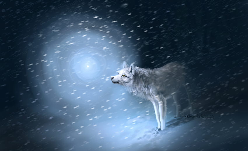 Wolf, winter, lup, iarna, fantasy HD wallpaper