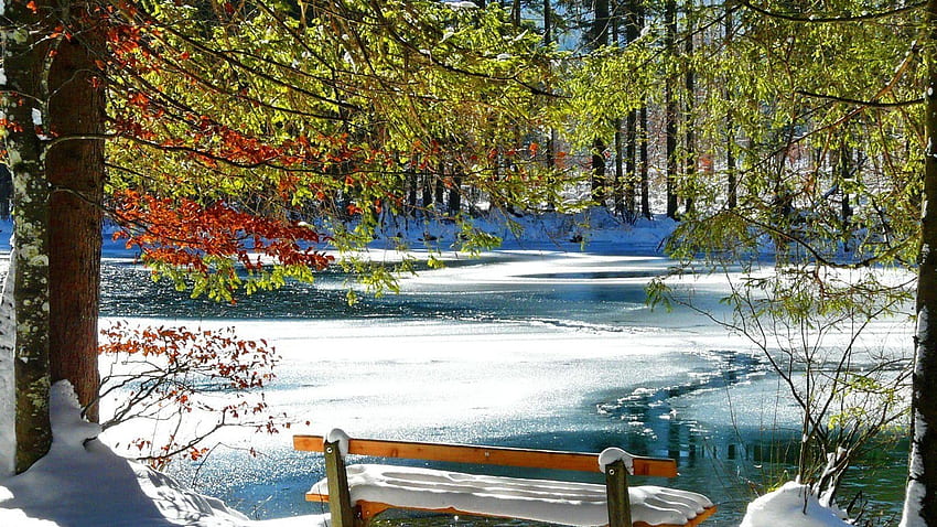 Rest Near Frozen Lake, winter, frost, lake, park, rest, snow, trees, nature, forest, pond HD wallpaper