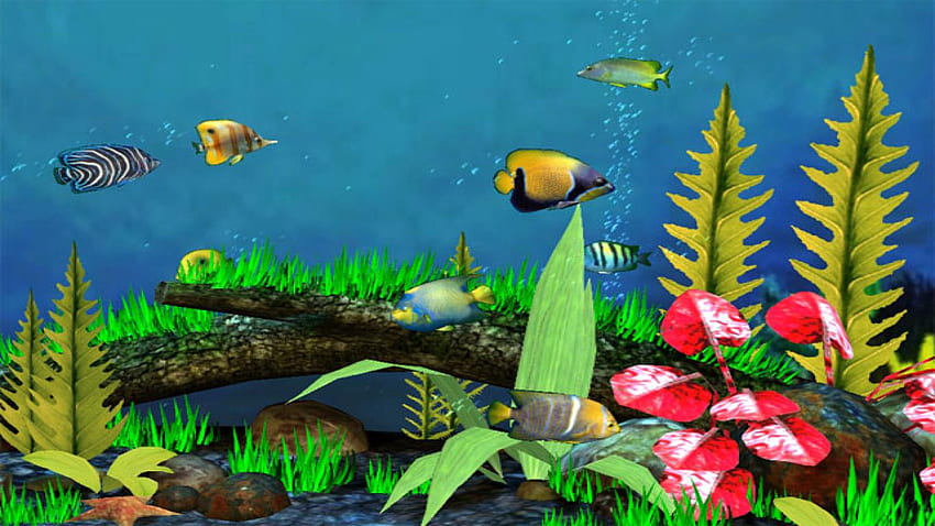 3D Fish 26732 in Animals HD wallpaper | Pxfuel