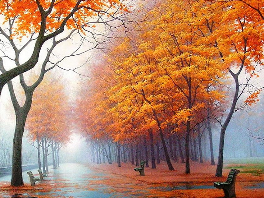 Pagi Oktober, kabut, Oktober, berwarna, pohon, musim gugur, oranye, jalan setapak, bangku taman Wallpaper HD