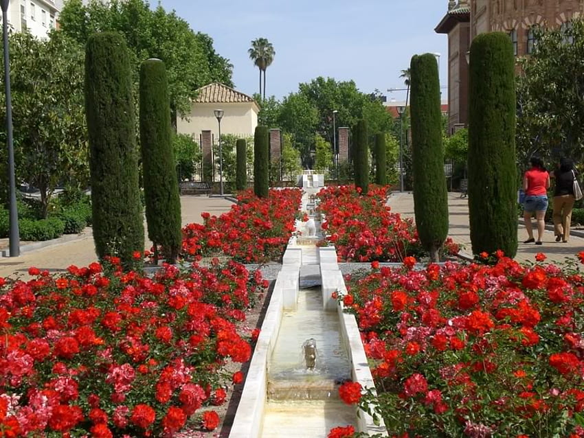 Cordoba, İspanya, gül bahçesi, su, andalucia HD duvar kağıdı