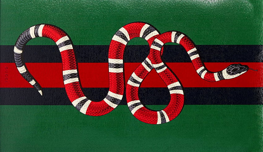 Gucci - Snake & Dragon Logo Knit Cardigan – eluXive