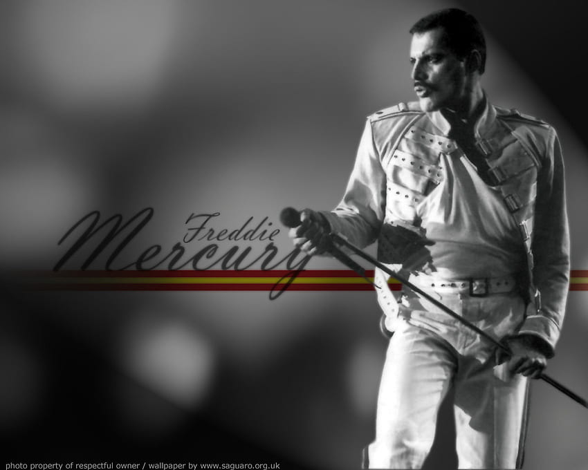 Freddie Mercury, Queen Freddie Mercury HD wallpaper