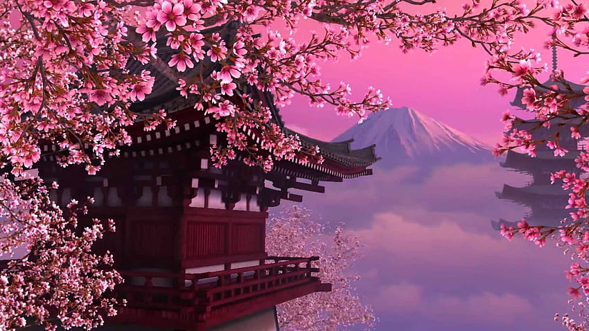 latar belakang tema bunga sakura. Bunga sakura jepang, bunga sakura, latar belakang bunga sakura, Pohon Bunga Jepang Wallpaper HD