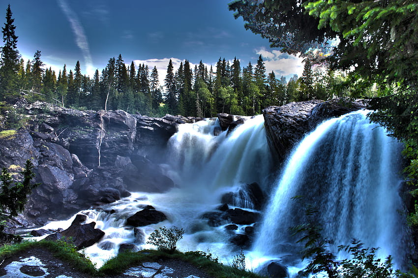 водопад синьо, пада, дървета, водопади, природа, скала HD тапет