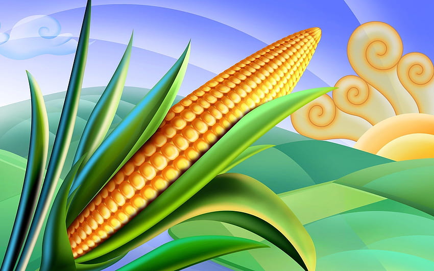 Cartoon-Maisfelder. Lebensmittelillustrationen: Leckeres Essen, Erntedankmais HD-Hintergrundbild