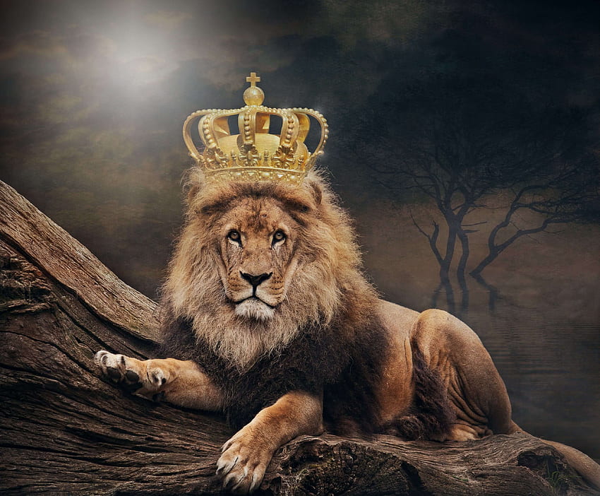 Löwe für PC oder Handy, Löwenkreuz HD-Hintergrundbild