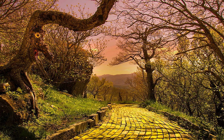 Follow The Yellow Brick Road To The Lost Land Of Oz - Abandoned, The Wizard  of Oz HD wallpaper | Pxfuel