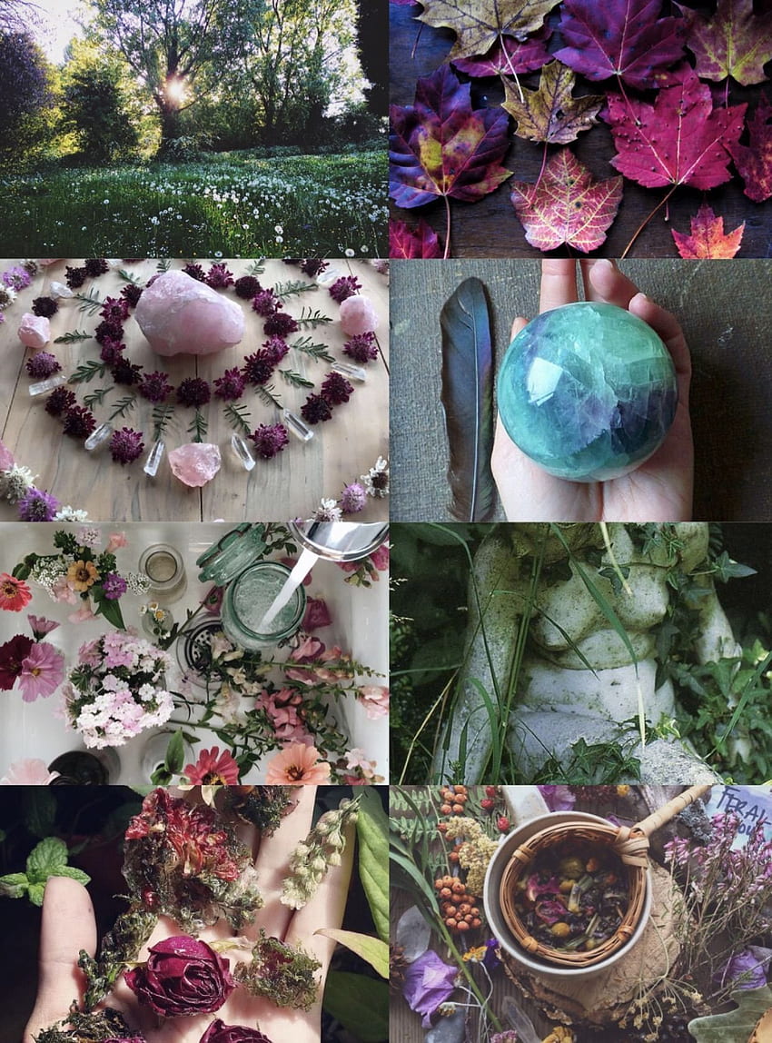 Nature Witch Aesthetic. Witch aesthetic, Nature witch, Wicca Aesthetic ...