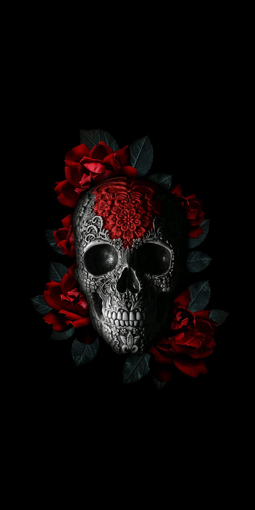 Skull, head, art HD phone wallpaper
