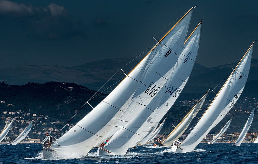 sea, water, race, sails, sailboats, Regatta, Sailing for , section спорт, Sailboat Racing HD wallpaper