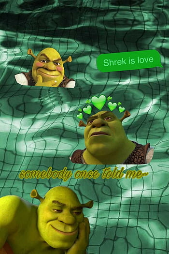 Shrek Wallpaper  NawPic