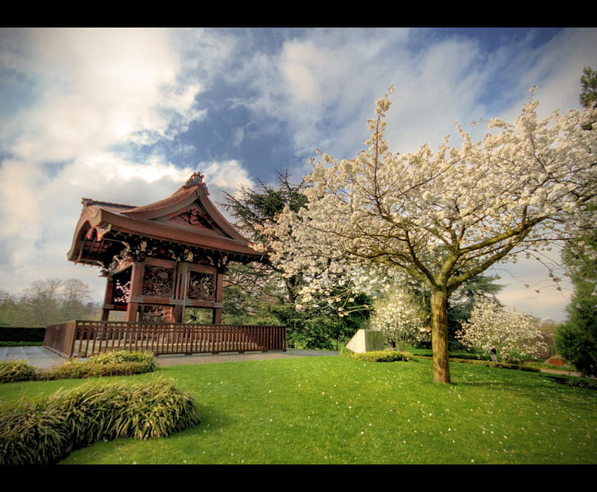 สวนญี่ปุ่น ญี่ปุ่น ดอกไม้ สวน ธรรมชาติ ฤดูใบไม้ผลิ วอลล์เปเปอร์ HD
