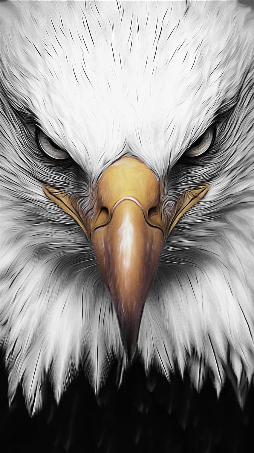 Adler, Nase, Feder, Vogel, gelb, scharfe Augen HD-Handy-Hintergrundbild