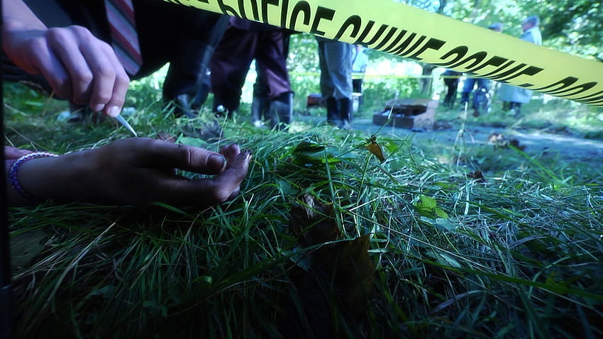 Forensic . Forensic, Forensic Science HD wallpaper