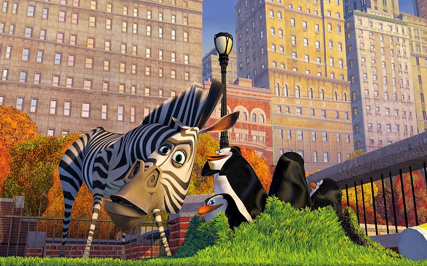 Karakter Madagaskar, Kartun Zebra Wallpaper HD