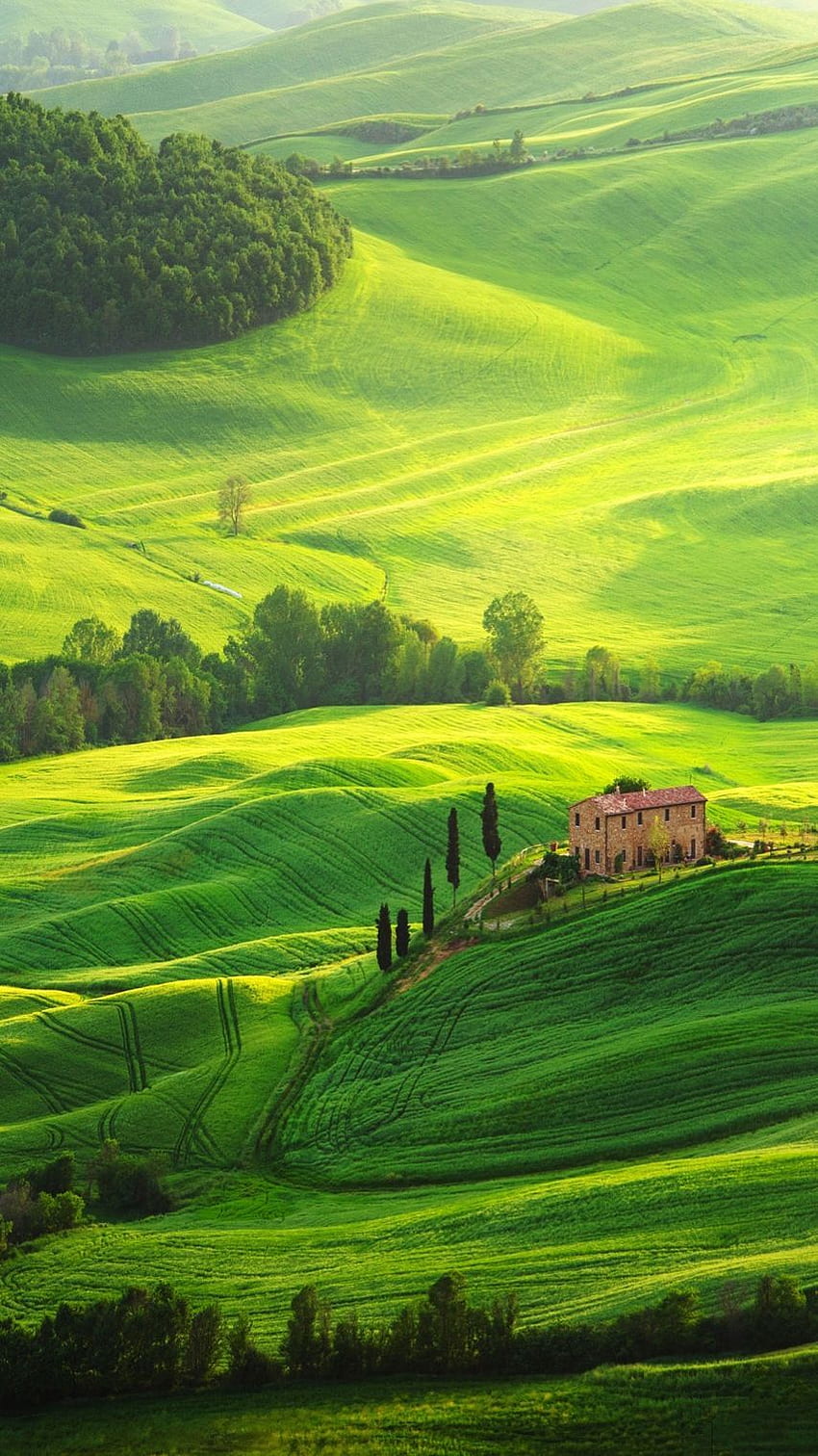 Toskana İtalya IPhone 2020. Toskana manzarası, İtalya manzarası, Görülecek yerler, İtalya kırsalı HD telefon duvar kağıdı