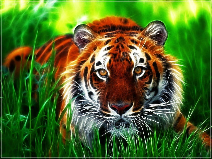 . Fraktal, Harimau, Gambar HD wallpaper