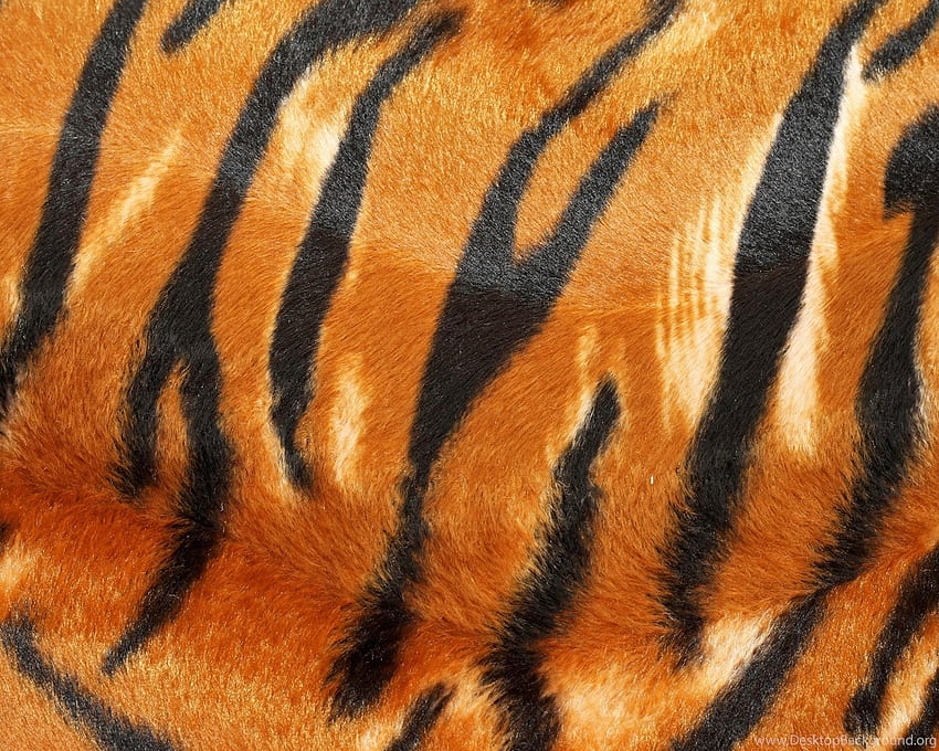 Tiger Pattern Background HD wallpaper | Pxfuel