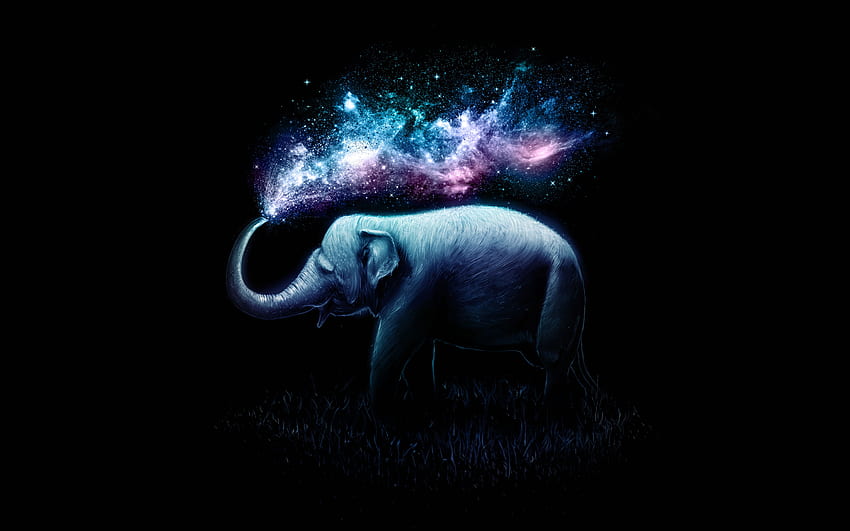 Gajah , Berwarna-warni, Surealis, AMOLED, Latar belakang hitam, , Fantasi, Gajah iPad Wallpaper HD