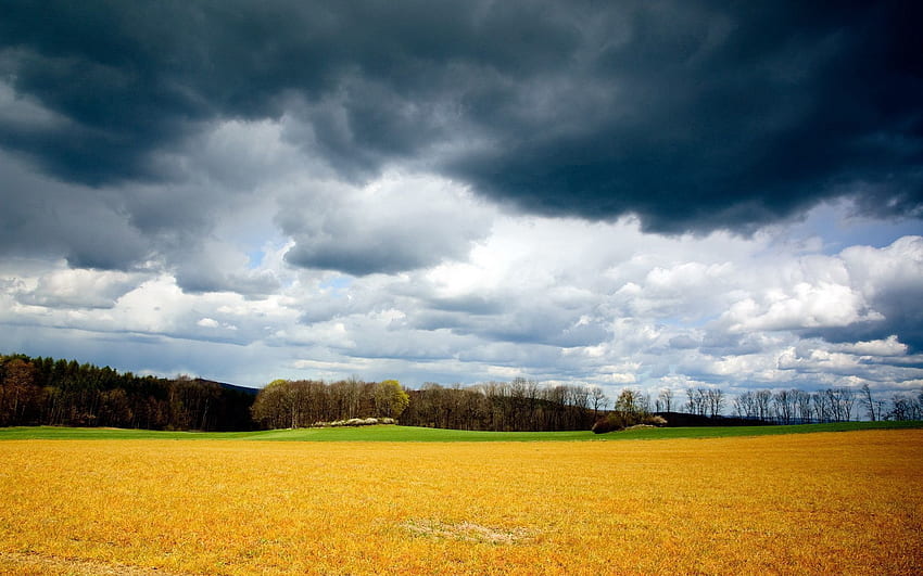 Nature, Grass, Sky, Clouds, Summer, Field, Gloomy, Storm, August, Thunderous, Beveled HD wallpaper