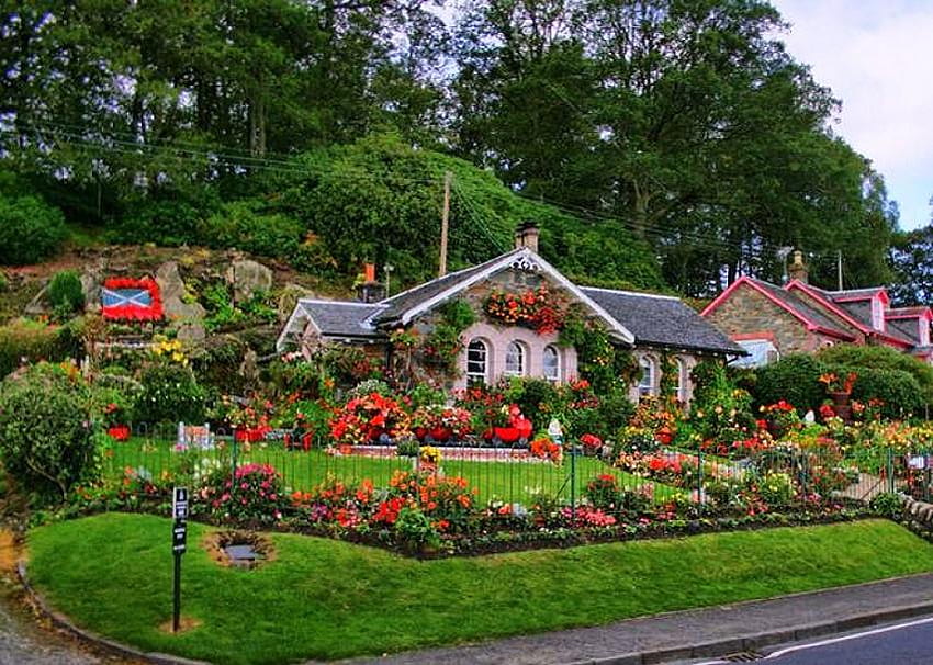 Love of flowers, garden, shrubs, walkway, fence, red, vines, stone, trees, flowers, cottage, lovely HD wallpaper