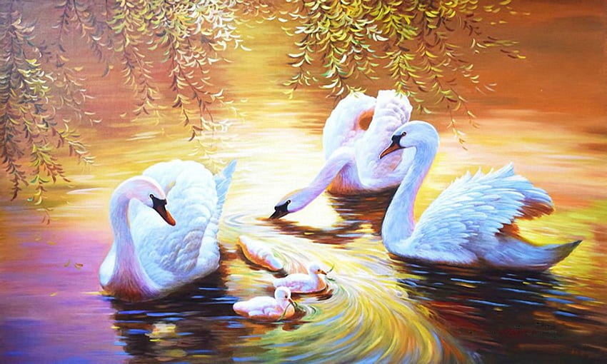 Swan Family, biały, ptaki, rodzina, łabędź, woda Tapeta HD