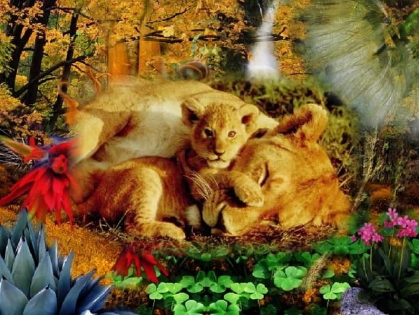 สิงโตตัวเมียและลูกสิงโต 3 มิติ วอลล์เปเปอร์ HD
