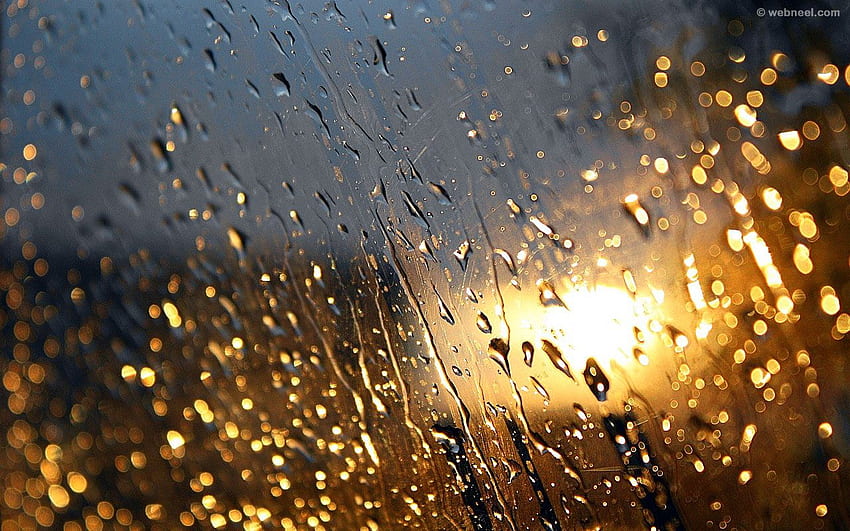 Beautiful Rain for your mobile and tablet, Live Rain HD wallpaper | Pxfuel