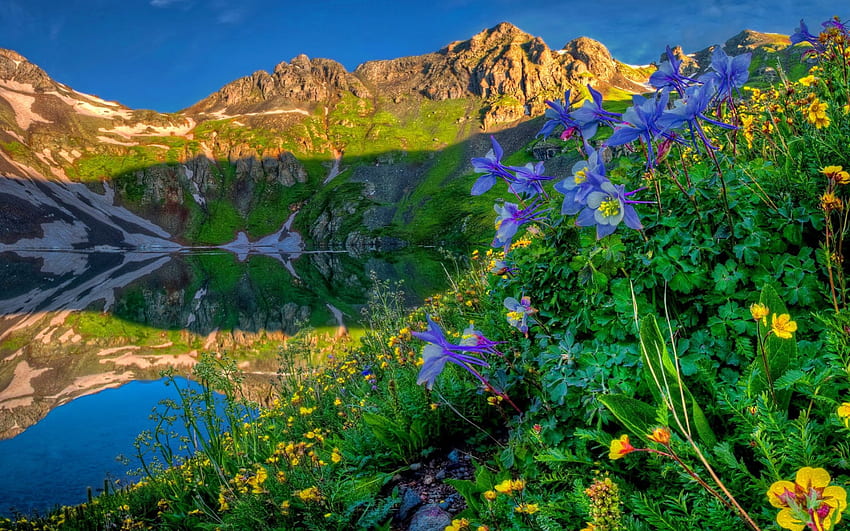 Jezioro kwiaty, błękit, wzgórza, nachylenie, piękny, trawa, góra, jezioro, lato, kwiaty, świeżość, zieleń, natura, kwiaty, niebo, roskc, szczyt Tapeta HD