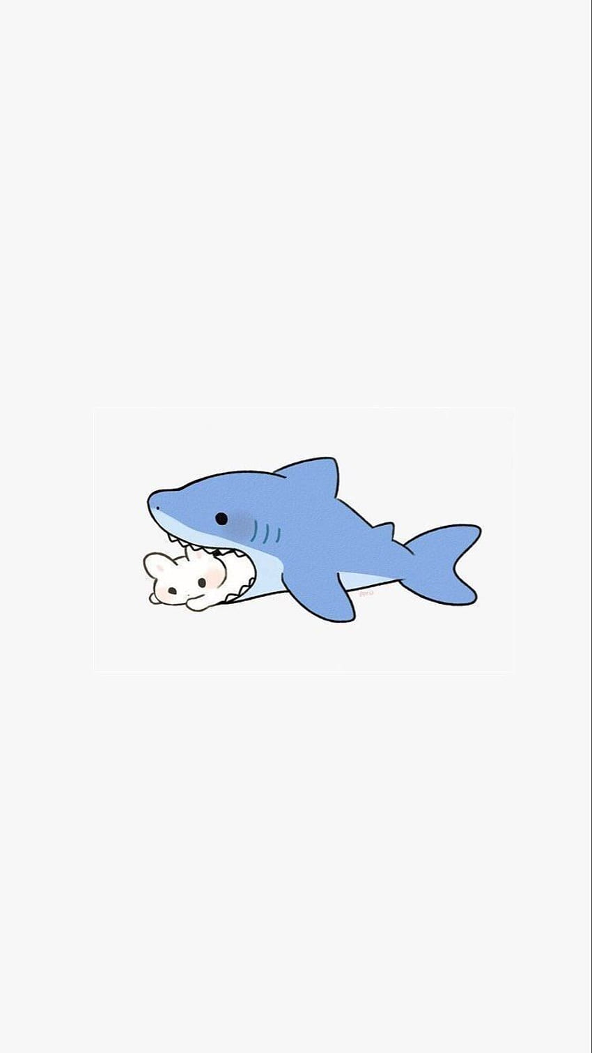 Cute Shark HD phone wallpaper