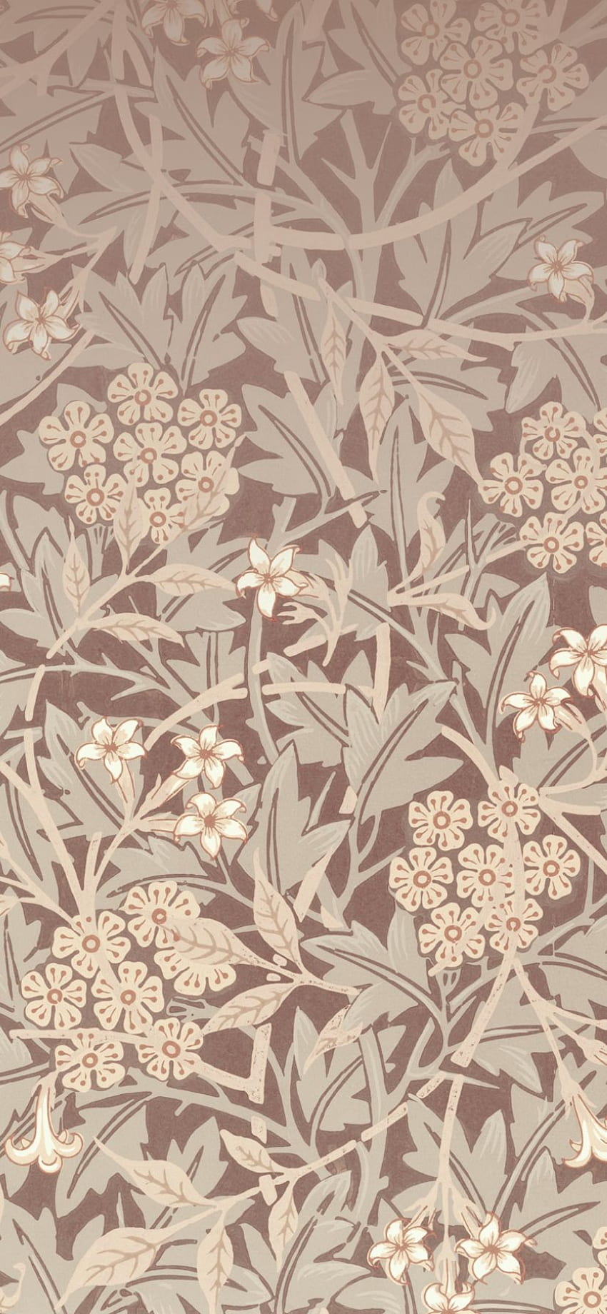 Jasmine Brown by William Morris Vintage Floral, Brown Flower HD phone wallpaper
