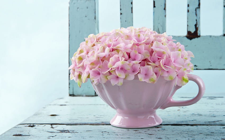 εїз Flower Vase εїз, chair, vase, pink, flowers HD wallpaper