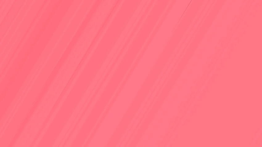 semplice, di presentazione, rosa minimalista Sfondo HD