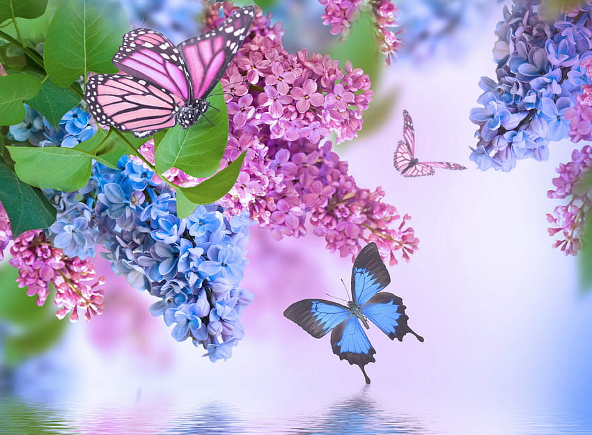 Simply Beautiful, пеперуди, люляк, природа, цветя, вода, люляк HD тапет