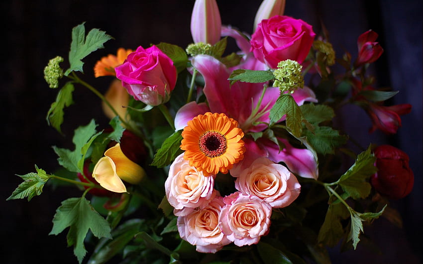 Piante, fiori, bouquet Sfondo HD