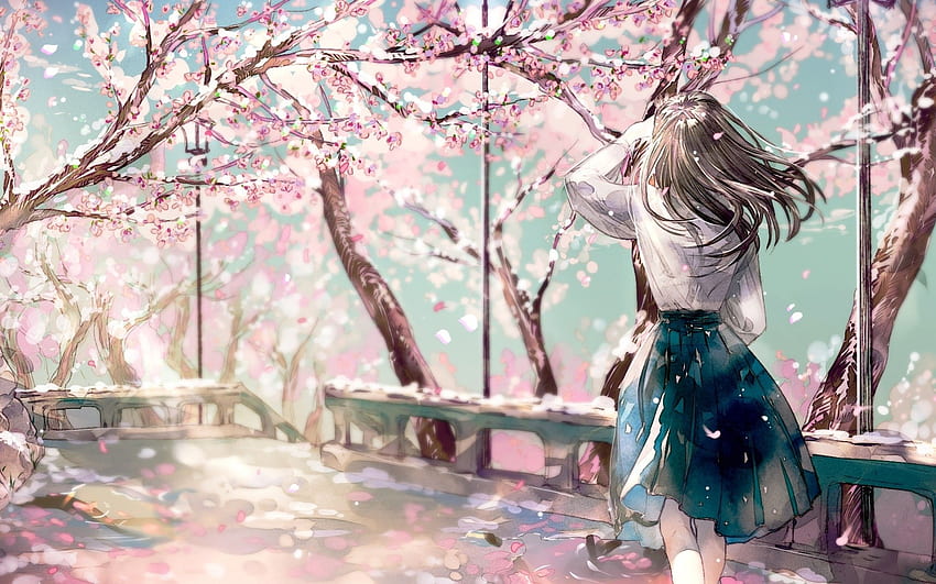 Fiore di ciliegio, Sakura, ragazza anime, vista posteriore Sfondo HD