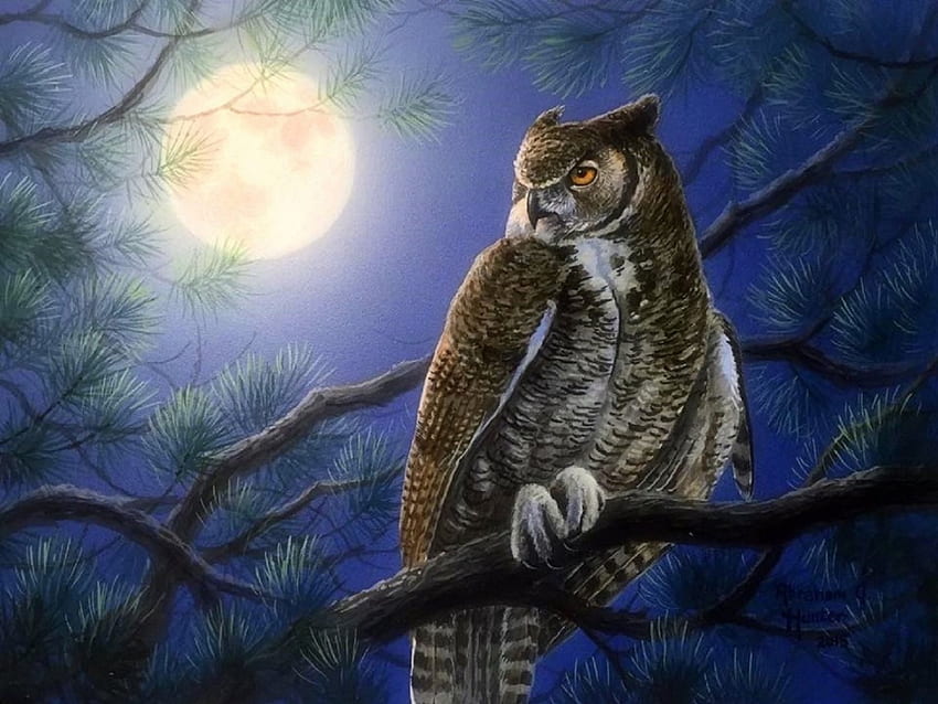 Moonlight Owl, love four seasons, summer, animals, pine cones, paintings, spring, owl, moons HD wallpaper