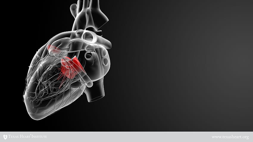 Здраве и болести на сърцето, 1600 X 900 Медицински HD тапет