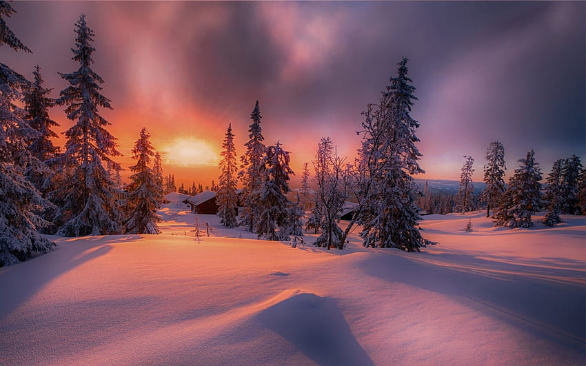 Nature, Landscape, Forest, Sunset, Cottage, Winter, Snow HD wallpaper ...