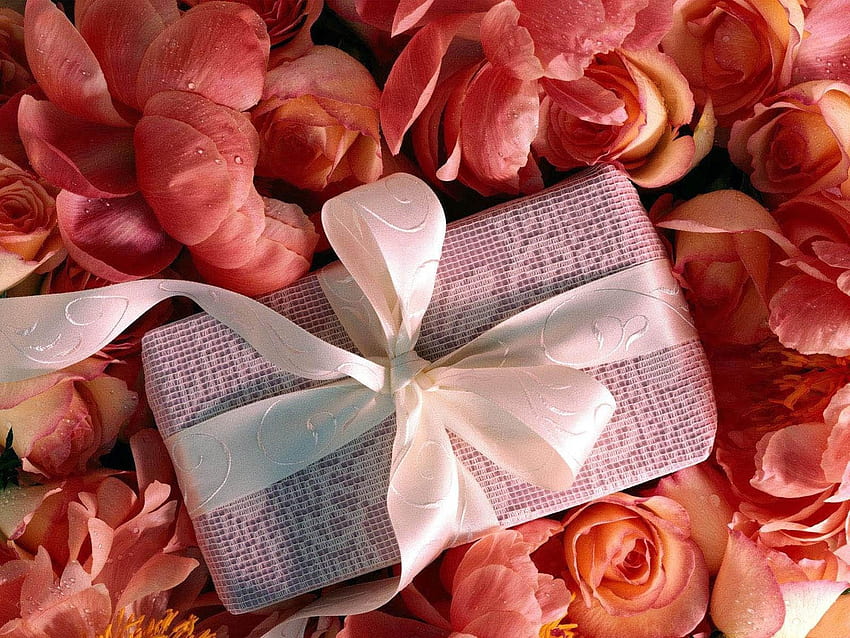 Love, Petals, Gift, Present, Bow HD wallpaper